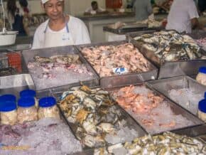 Man stands behind bins of seafood on ice at the fish market in Panama City Panama