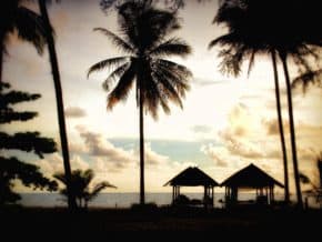 sunset lit clouds create silhouette of palm trees and pavilions in asia