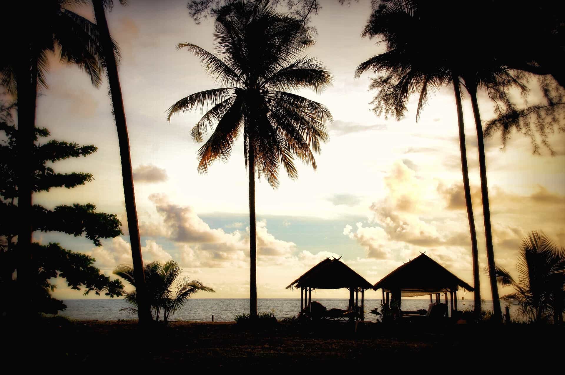 sunset lit clouds create silhouette of palm trees and pavilions in asia