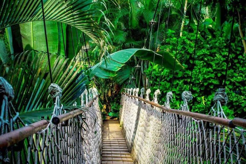 Rope suspension obridge