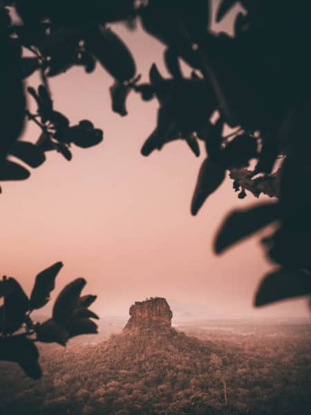 Tree leaves framing Sigiriyal Rock in background