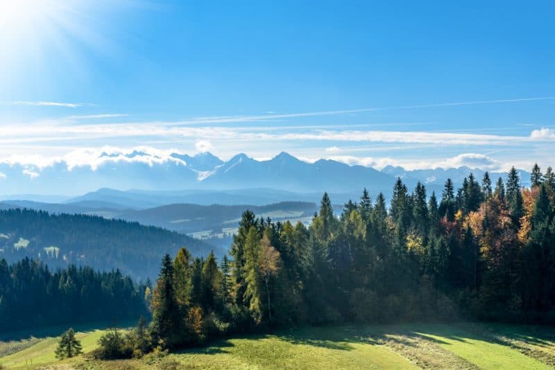 Trees in front of the High Tatras mountains, probably the most unusual of our alternative vacation ideas