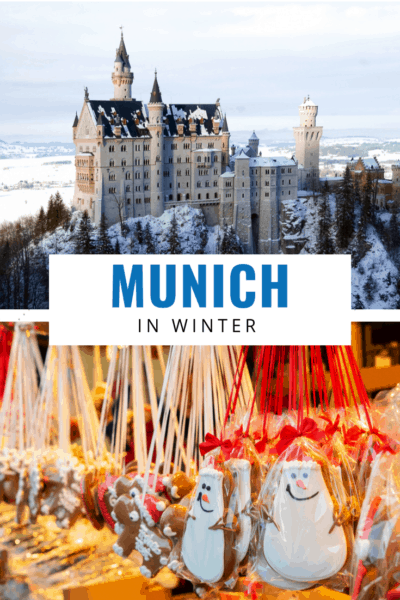 Neuschwanstein castle and munich christmas market text says munich in winter