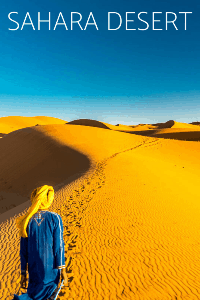 bedouin leading a camel through the sahara desert