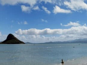 oahu beach and mountain with water in foreground