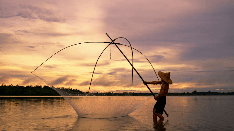 Human by nature: Sunset silhouettes a man fishing with a net in kerala