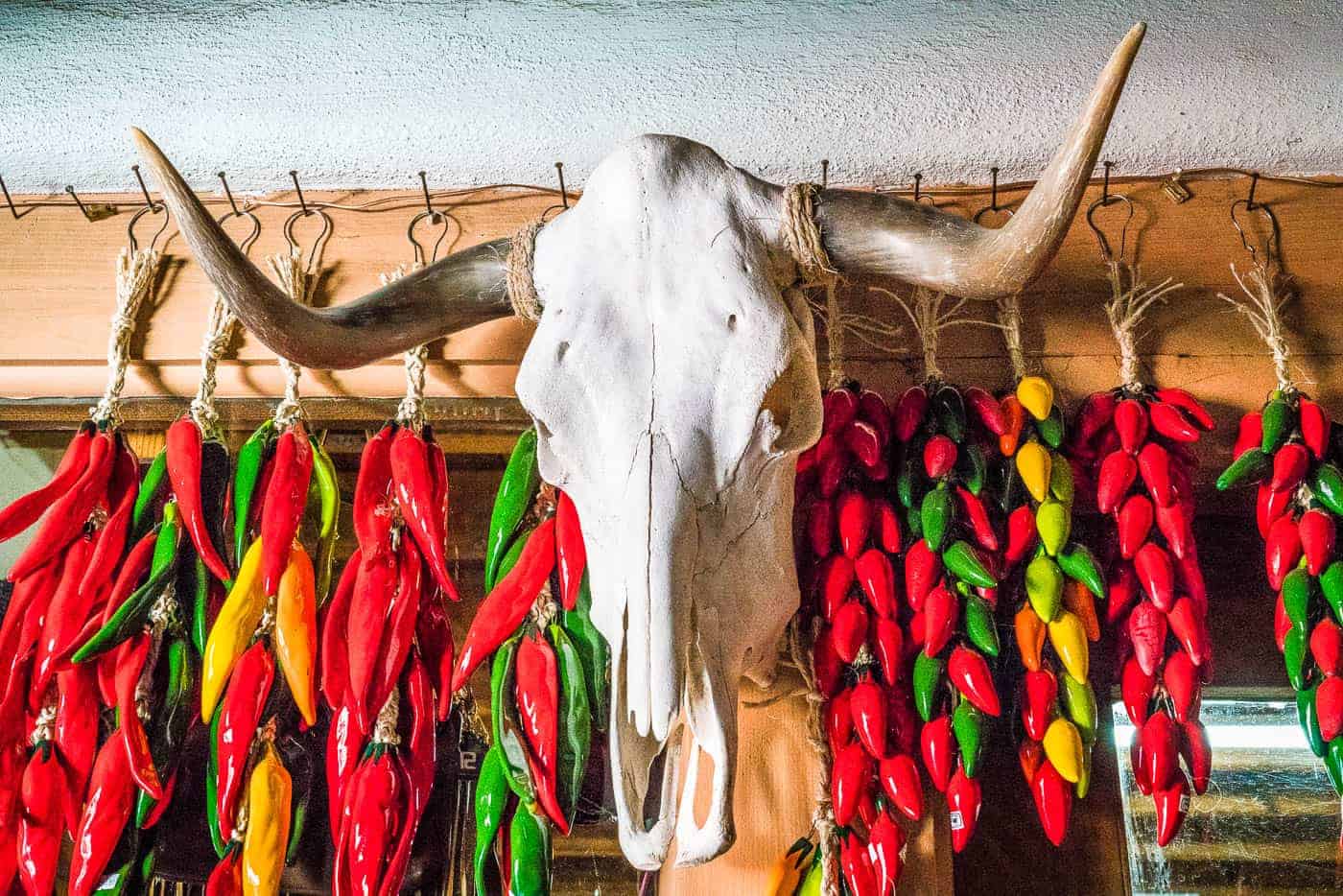 bull skull with red and green drying chilis