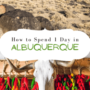 Red and green chilis around cow skull text says how to spend 1 day in albuquerque