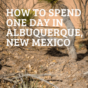 Catus and desert landscape text says how to spend 1 day in albuquerque new mexico