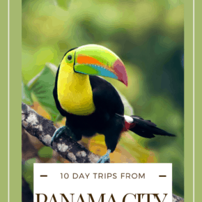 toucan text says 10 day trips from panama city