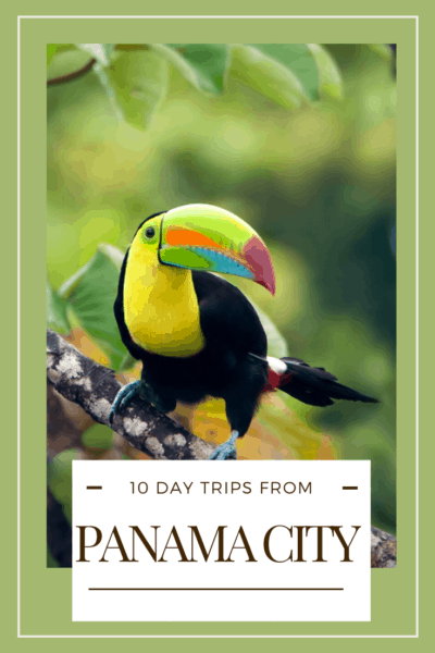 toucan text says 10 day trips from panama city