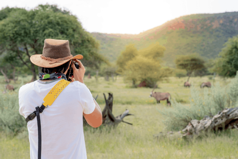 man photographing antelope on safari