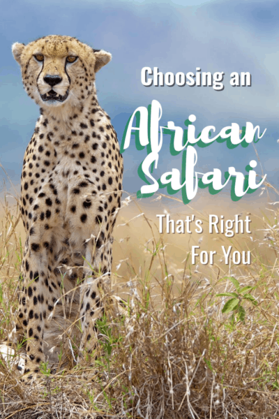 cheetah text says choosing an african safari