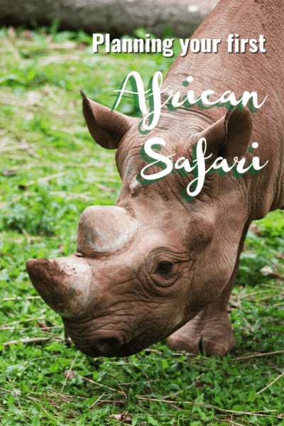 Rhino text says planning your first african safari