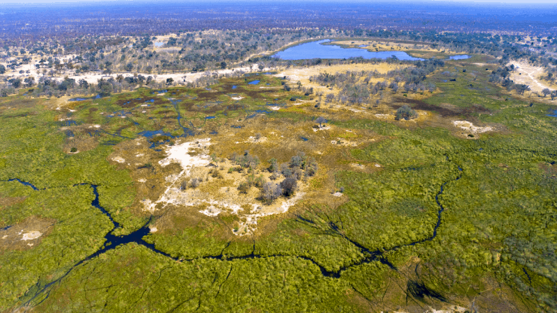 Ariel view of Okavanga Delta