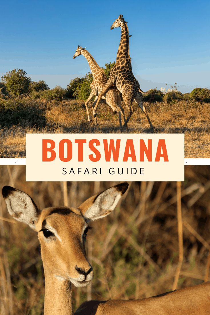 botswana safari itinerary