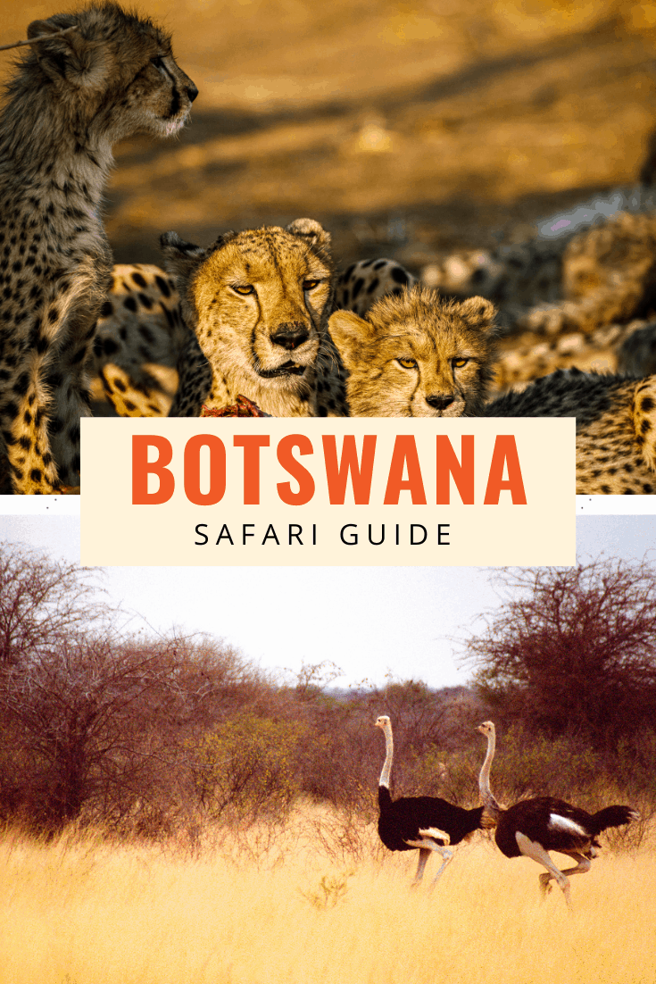 botswana safari itinerary