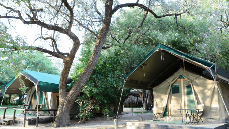 tents at a luxury safari camp