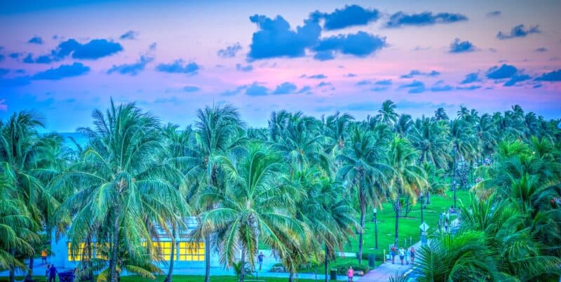 Day trips to Miami featured photo including palm trees and a cloud laden sunset
