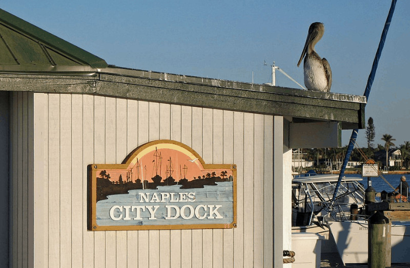 Pelican atop Naples City Dock