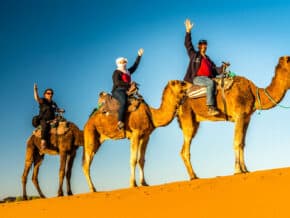 Dan & Linda on camels near the Morocco's border with Algeria.