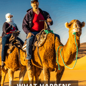 Two people on camels. Text overlay says What Happens if I die overseas