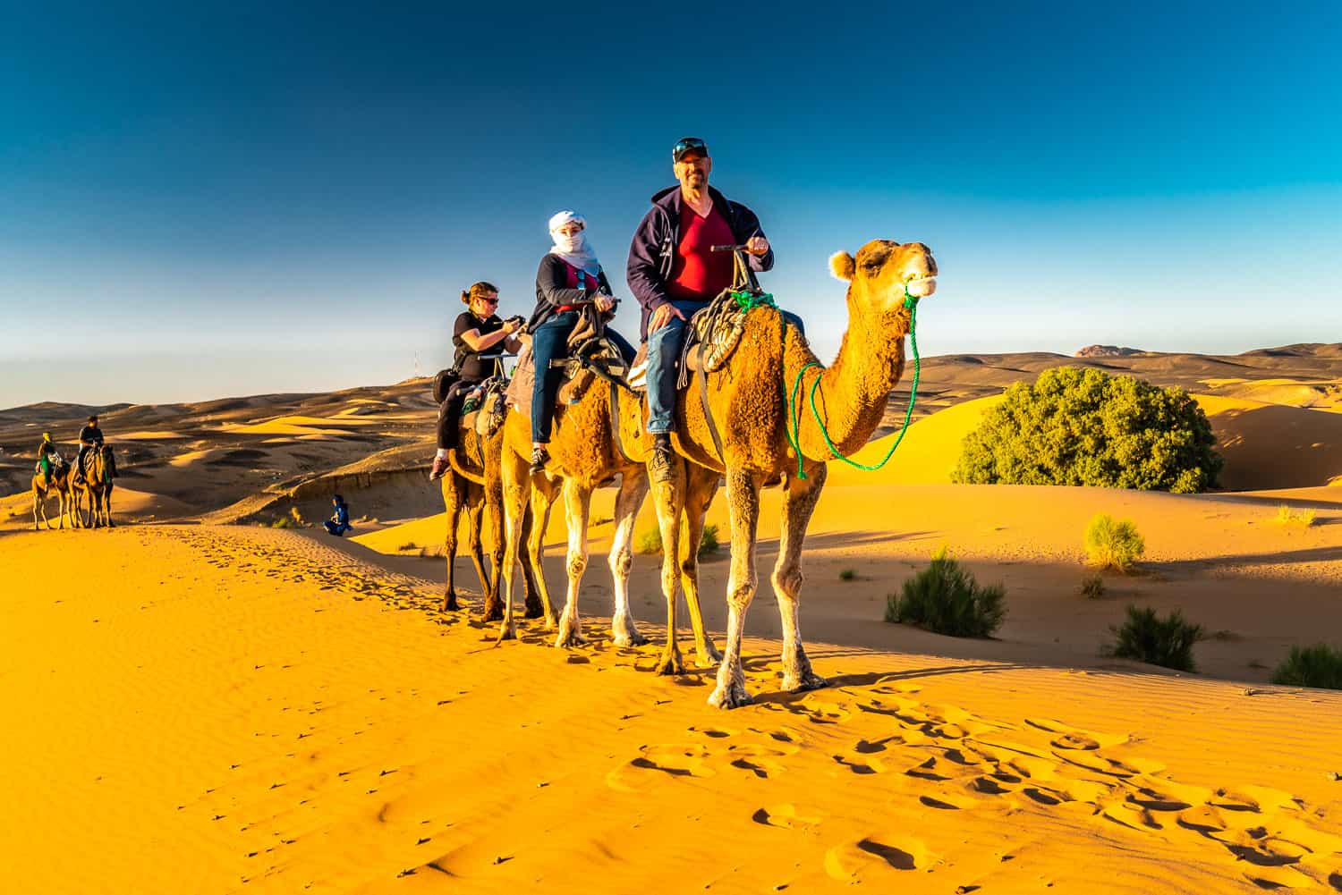 social media influencers Daniel and Linda Bibb on camels in Morocco, one of their As We Saw It travel destinations.