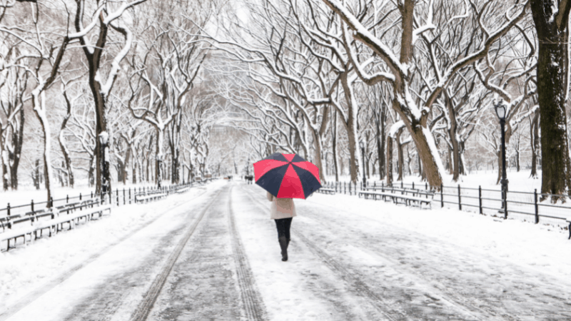 Things to Do in New York City on Cold and Snowy Days