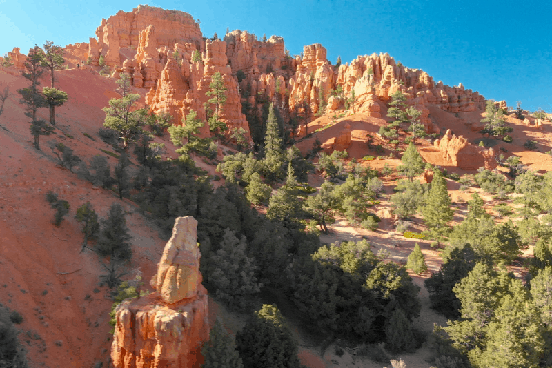 Trees and rocks in Red Rock Canyon, an easy Las Vegas day trip