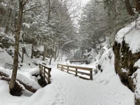 snow covered path with wooden bridges, for a winter vacation in New England