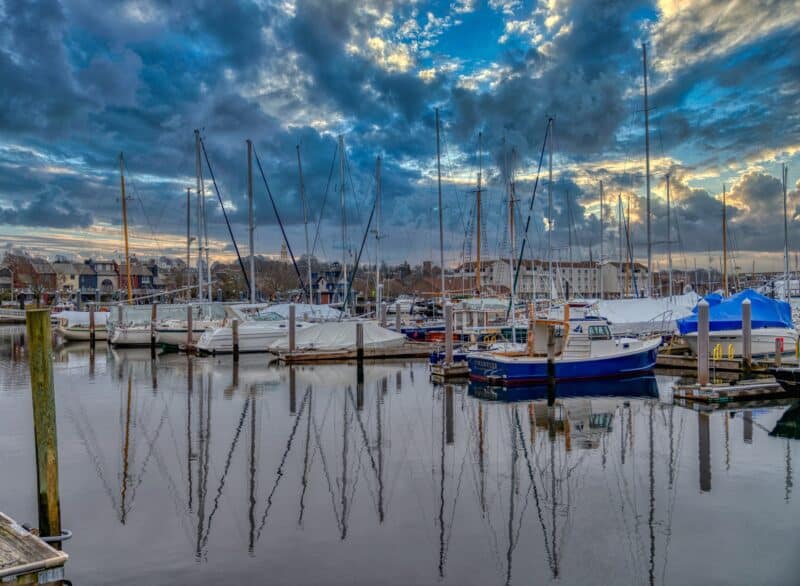 boats moored in a harbor