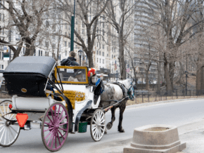 horse-drawn carriage in New York City in winter time