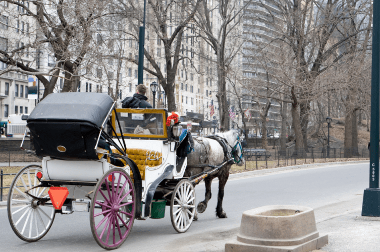 horse-drawn carriage in New York City in winter time