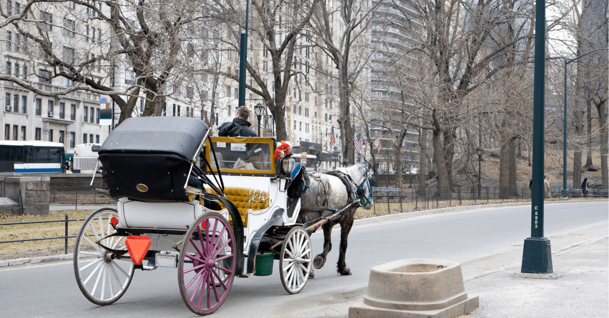 horse-drawn carriage in New York City in winter time