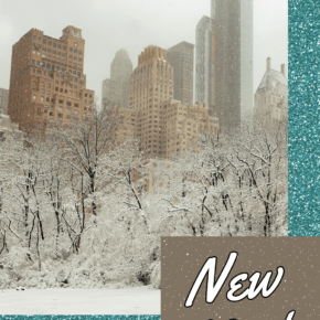 Central Park in winter. text overlay says new york winter trip ideas