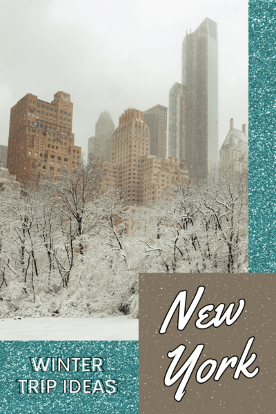 Central Park in winter. text overlay says new york winter trip ideas