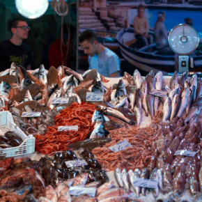 fish vendor in Sicily with prawns and other shellfish in foreground