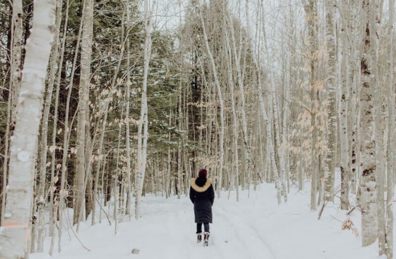 Best january vacation spots and winter getaways northeast. Here's a back view of a woman walking through a snowy winter forest during a new england winter vacation.