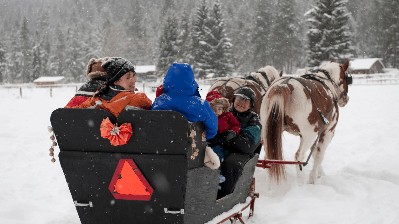 A family riding in a horse drawn sleigh. We think all New England vacation packages should include things like this!