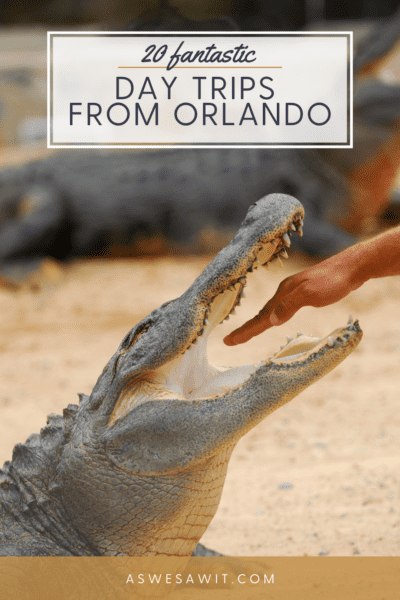 hand inside the open mouth of a Florida alligator. Text overlay says "20 fantastic day trips from Orlando"
