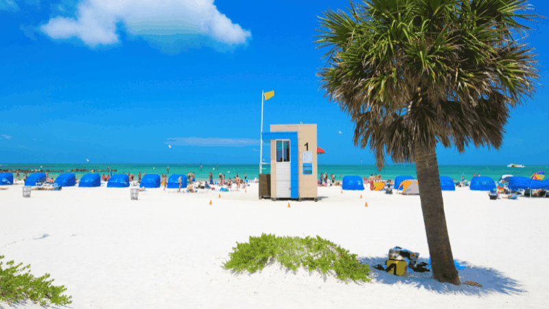 cabanas and lifeguard station on a white sand beach in Clearwater Beach Florida. Palm Tree in foreground