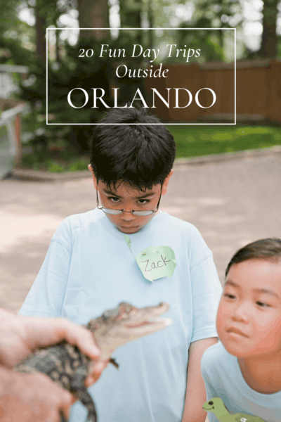Children look on as an adult holds a baby alligator. Text overlay says "day trips outside Orlando"