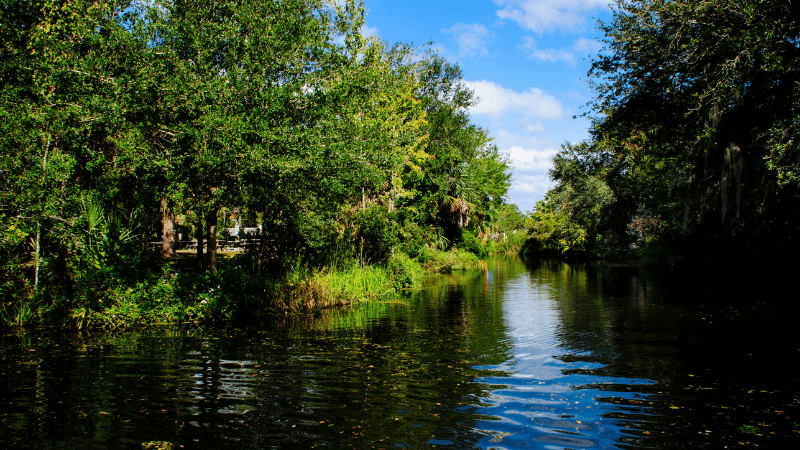 clear water at Homosassa Springs