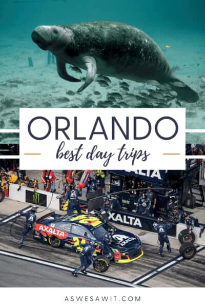 Top: manatee. Text overlay says "Orlando best day trips" Bottom: race car at Daytona Beach Speedway
