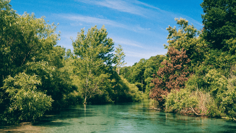 Clear water in Weeki Wachee Springs