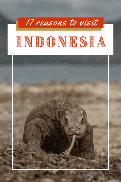 Komodo dragon. Text overlay says "17 reasons to visit indonesia"