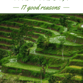 Rice terraces. Text overlay says "why you should visit indonesia 17 good reasons"