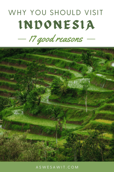 Rice terraces. Text overlay says "why you should visit indonesia 17 good reasons"