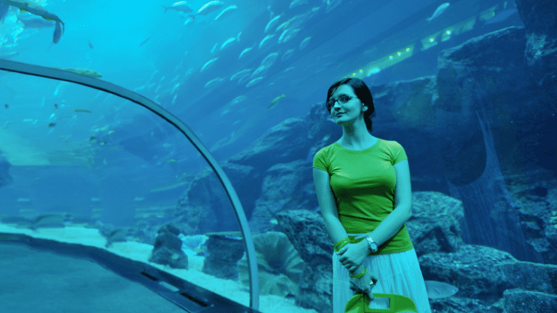 woman at an aquarium in Dubai Mall UAE