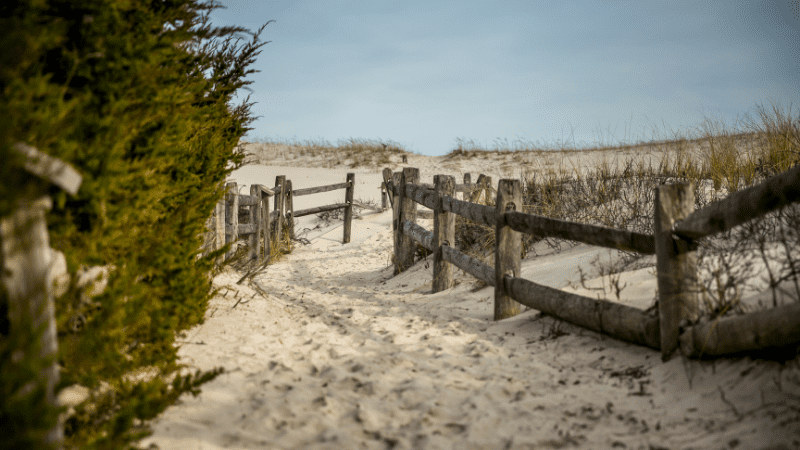 gate leading to the beach in Island Beach State Park